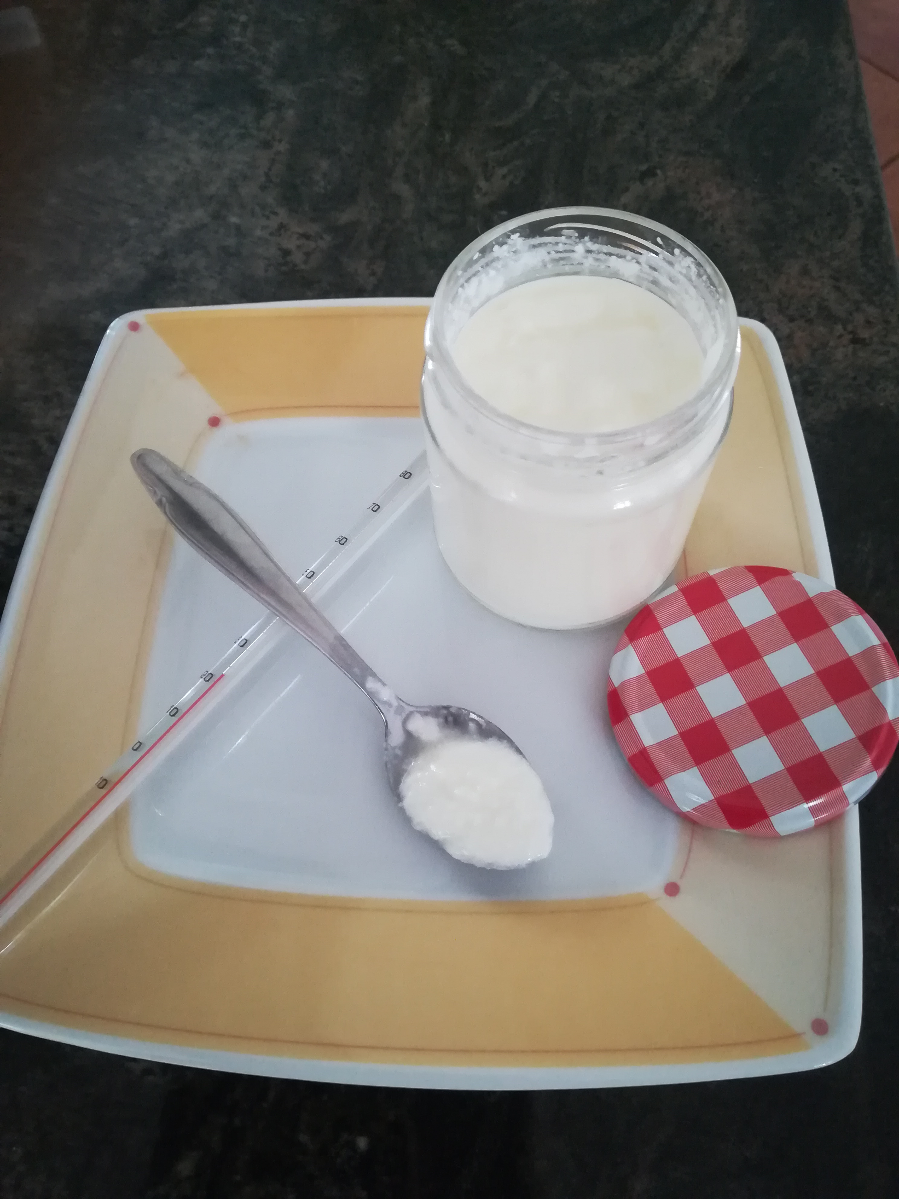 Joghurt selbst gemacht – Kräutergeli